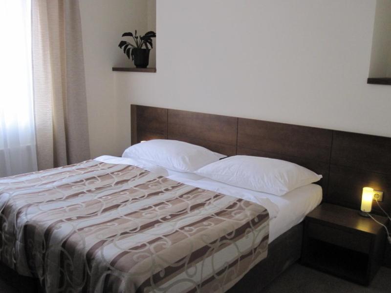 Hotel Mario Lednice Extérieur photo